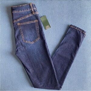 Wild Fable Denim Skinny Jeans